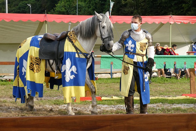 泳池边的观 泳池边的观