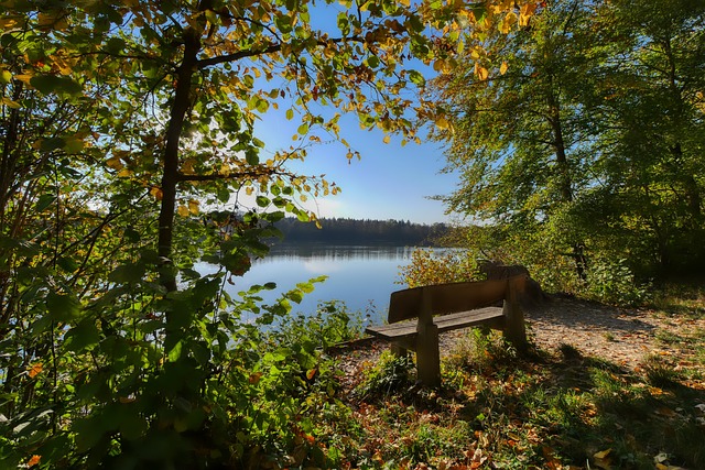 场上队员欢 场上队员欢