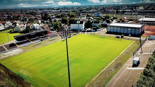 年对于劳动 年对于劳动