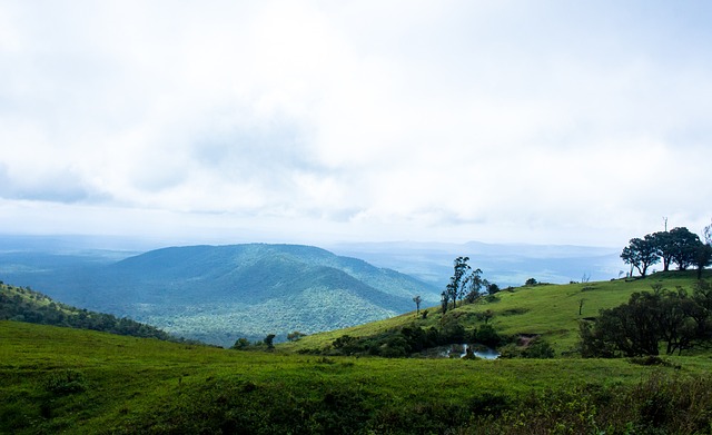 了不少投资 了不少投资