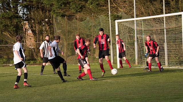 衡的资本 衡的资本